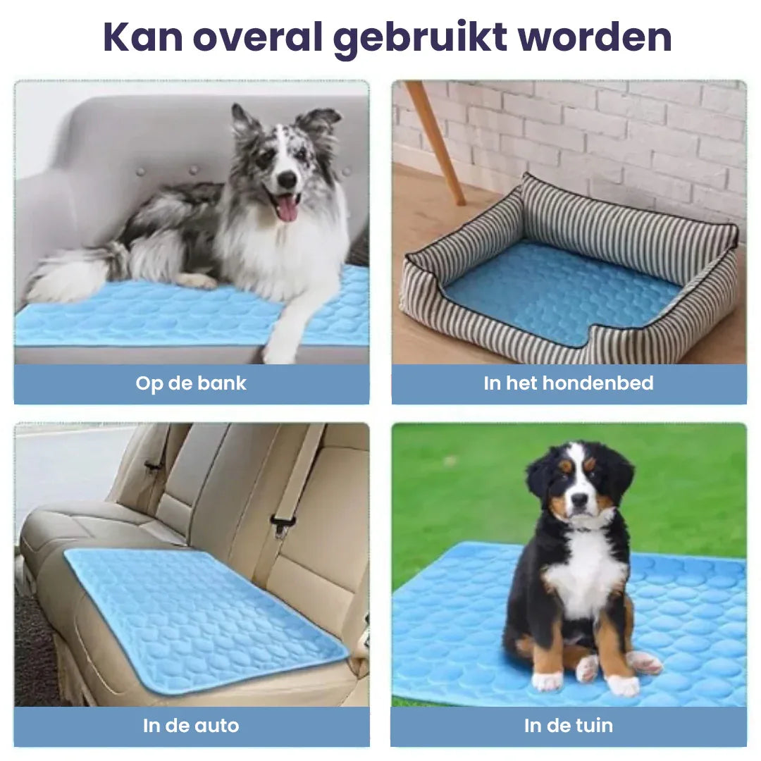 Ruffy Zelfkoelende Hondenmat Met IJszijde Wasbaar en Opvouwbaar Voor Zomerdagen - Ruffy