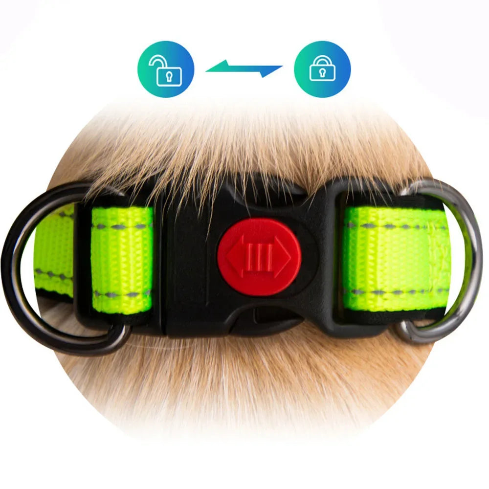 Reflecterende Nylon Halsband Zacht Gewatteerd Verstelbaar Veilig Voor Alle Hondenmaten - Ruffy