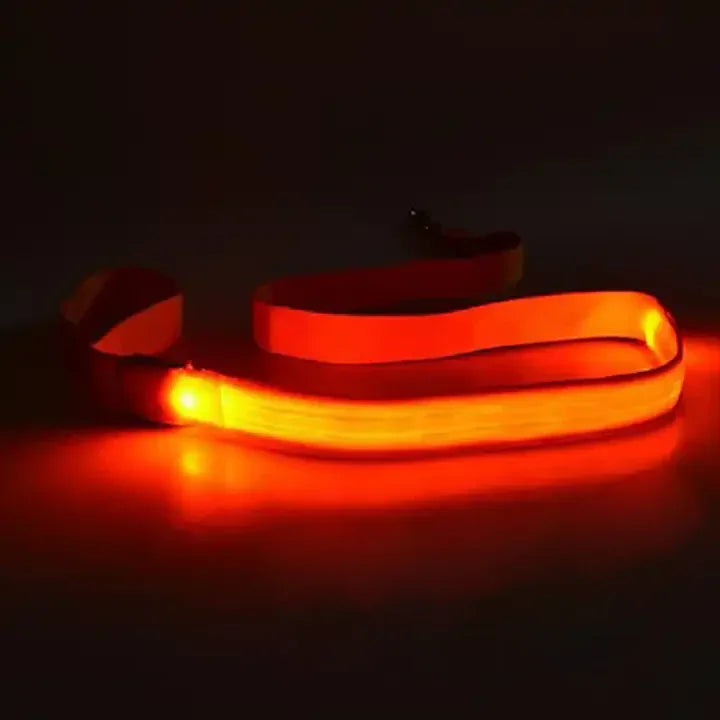 LED USB Oplaadbare Veiligheidsriem Voor Honden - Ruffy