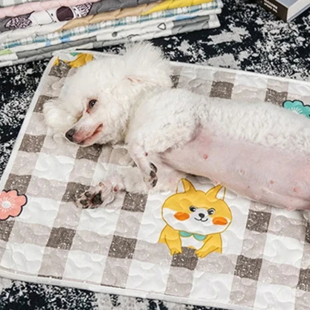 Zachte Slaapdeken Huisdieren Ademend Comfortabel Herbruikbaar Wasbaar Katoen Lichtgewicht Voor Honden en Katten - Ruffy