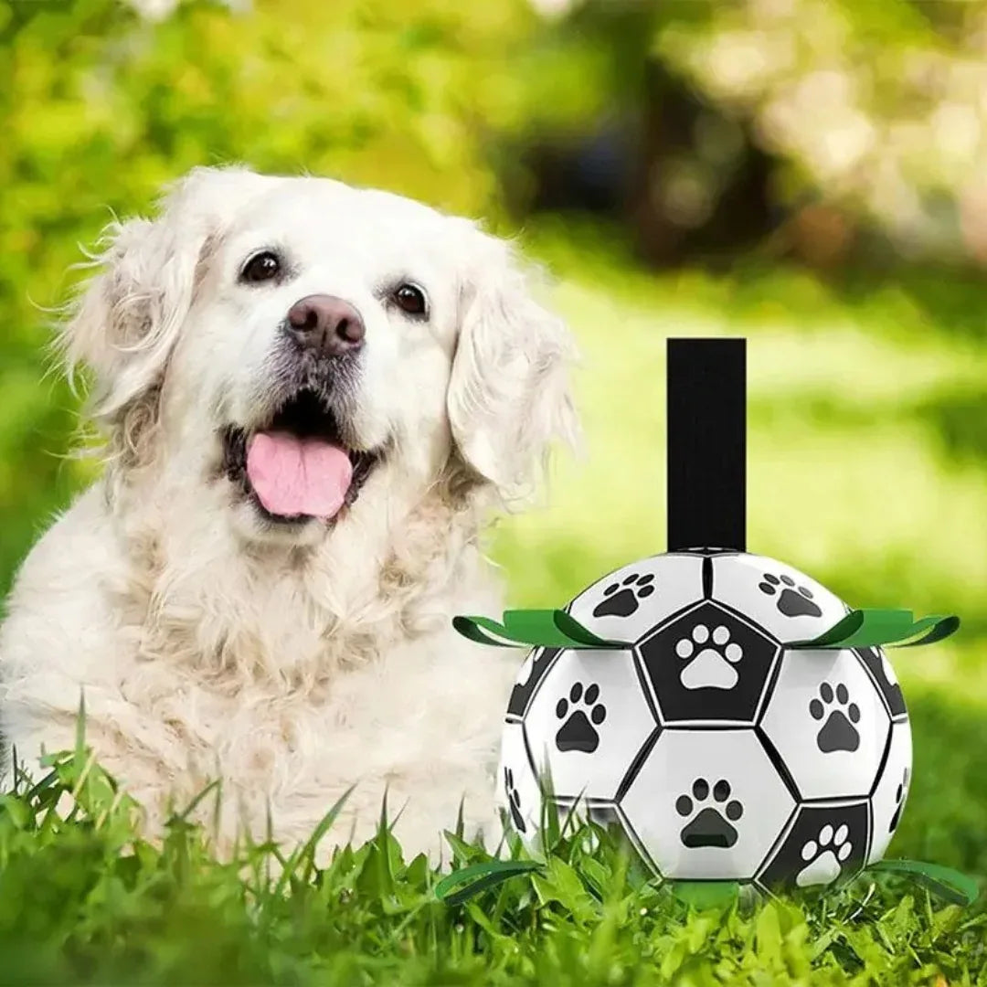 Interactief Voetbal sterk Hondenspeelgoed voor intelligentie - Ruffy