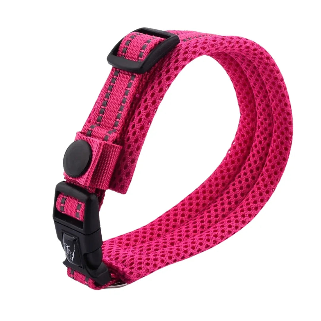 Verstelbare Gevoerde Reflecterende Nylon Hondenhalsband Comfortabel Duurzaam Veilig Voor Training en Wandelingen - Ruffy