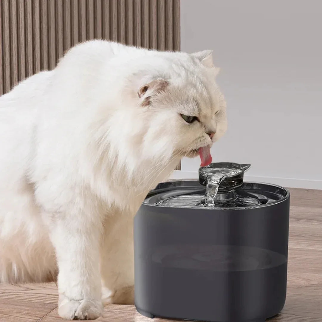 USB Elektrische Kattenwaterfontein Met Autofilter Geluidloos Recirculerend Water Verbeterde Hydratatie Hygiëne - Ruffy