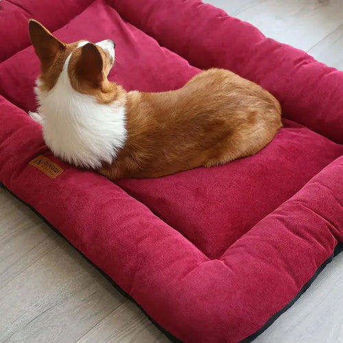Duurzaam Hondenbed Met Dikke Demping – Perfect Voor Gewrichtsontlasting - Ruffy