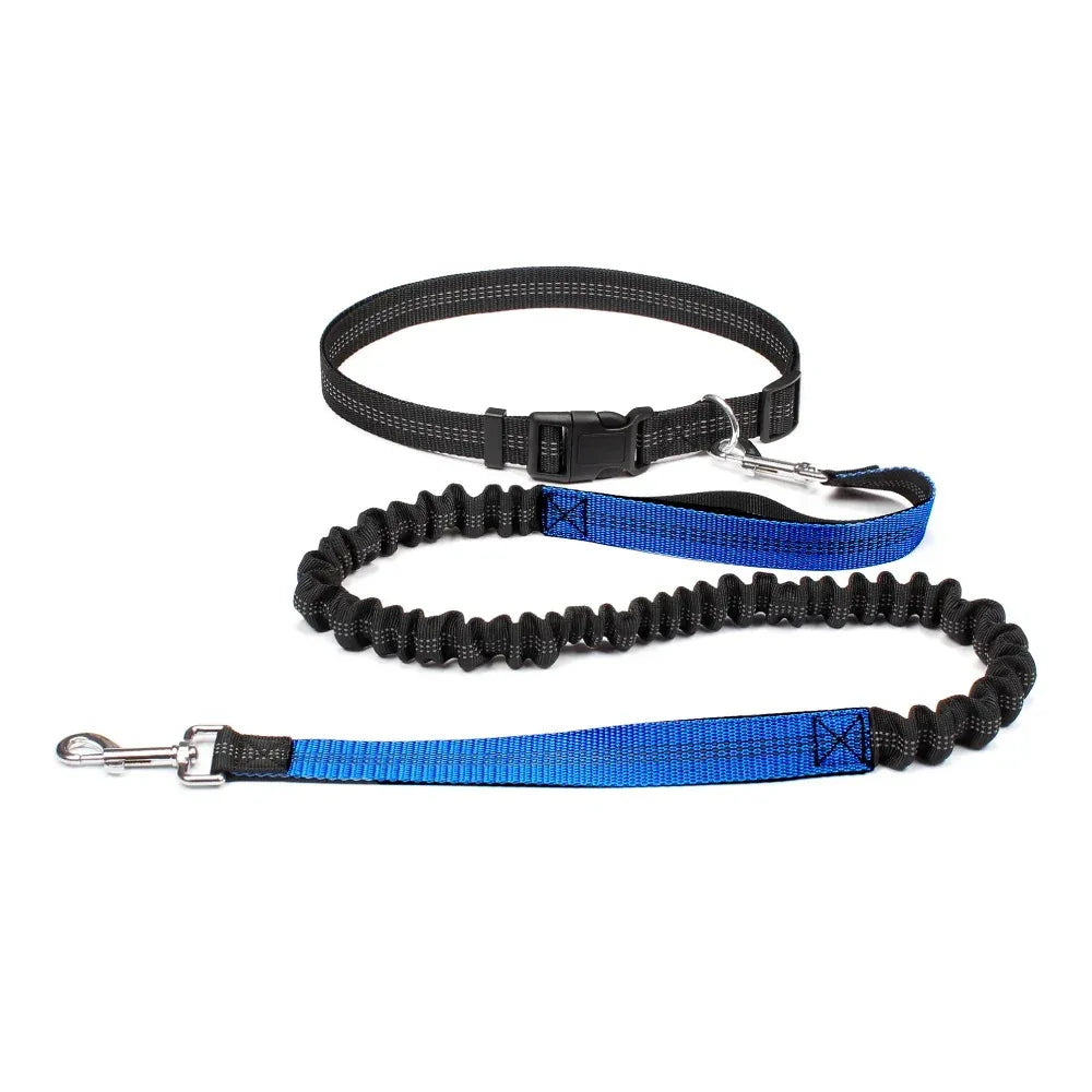 Hands-Free Intrekbare Hondenriem Met Heupriem Reflecterend Bungee Ontwerp Comfortabel Voor Wandelen en Rennen - Ruffy