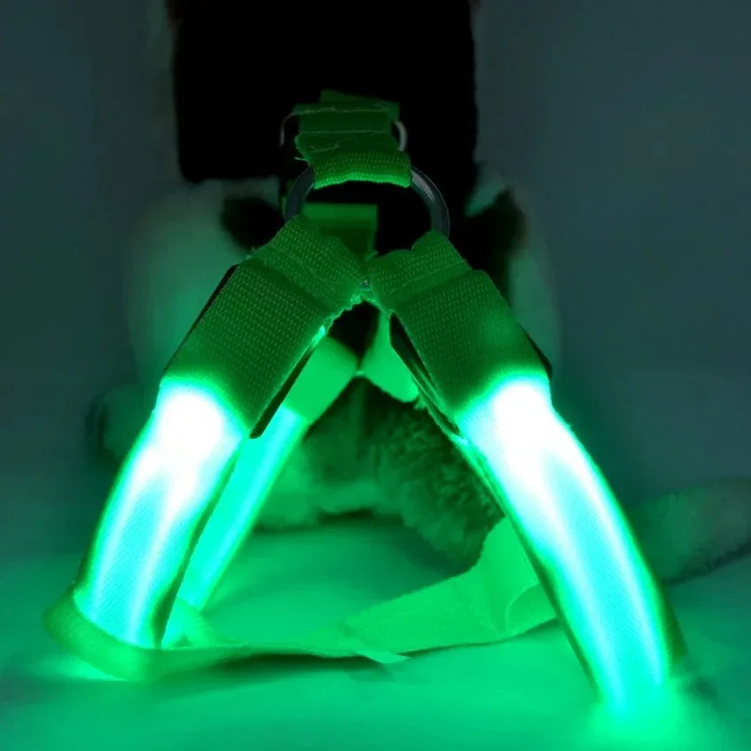 Hondentuig Lichtgevend USB Oplaadbaar - Ruffy
