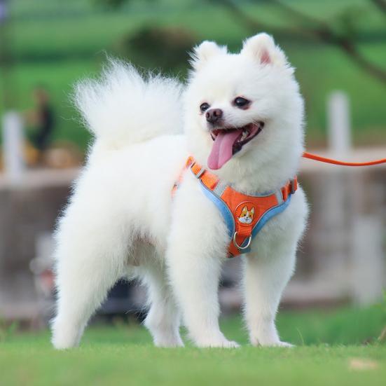 Reflecterend Hondenharnas Voor Kleine Honden Veiligheid Comfort Verstelbaar Dubbele Vergrendeling Polyestermix - Ruffy