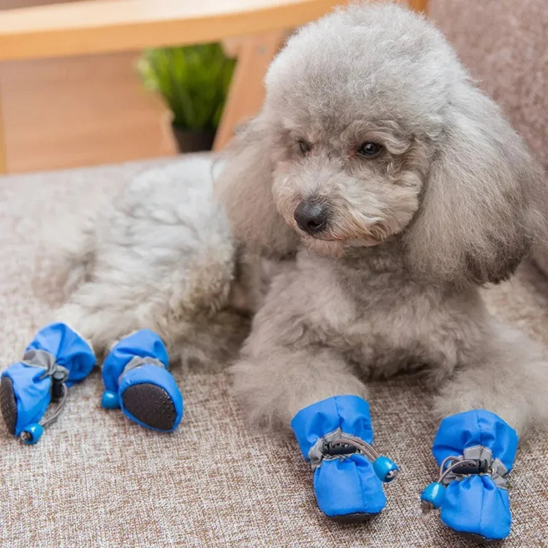 Antislip regen schoentjes voor honden - Ruffy