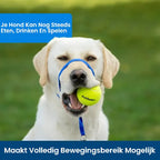 Zachte Trainingshalsband voor Honden Verstelbaar Comfortabel Duurzaam Beschikbaar in Alle Maten - Ruffy
