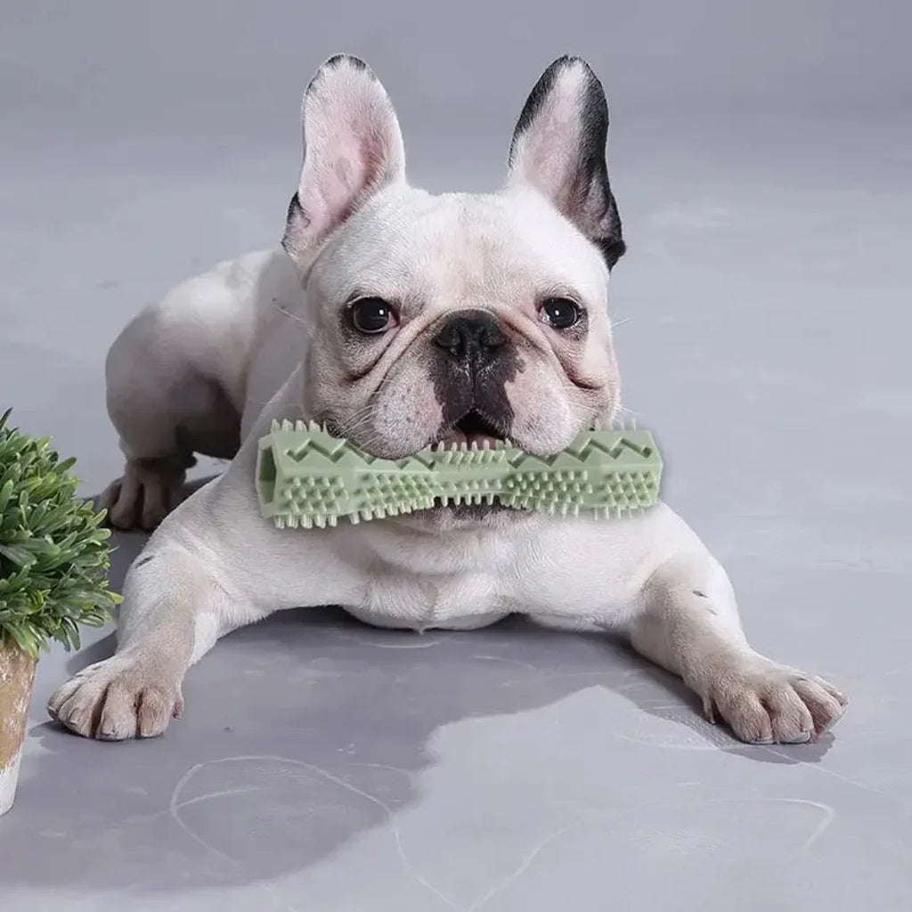 Honden Tanden Kauwspeeltje Schoonmaak - Ruffy