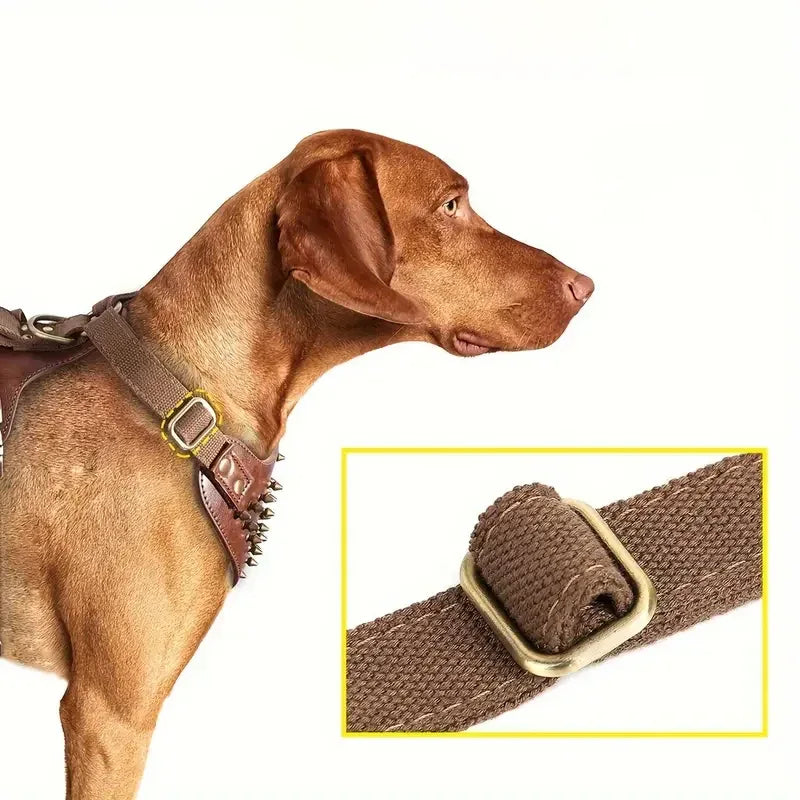 Stevig hondentuig van leer met decoratieve zilverkleurige spikes - Ruffy