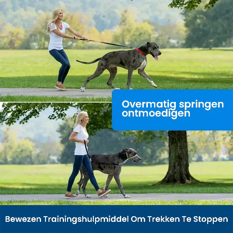 Zachte Trainingshalsband voor Honden Verstelbaar Comfortabel Duurzaam Beschikbaar in Alle Maten - Ruffy
