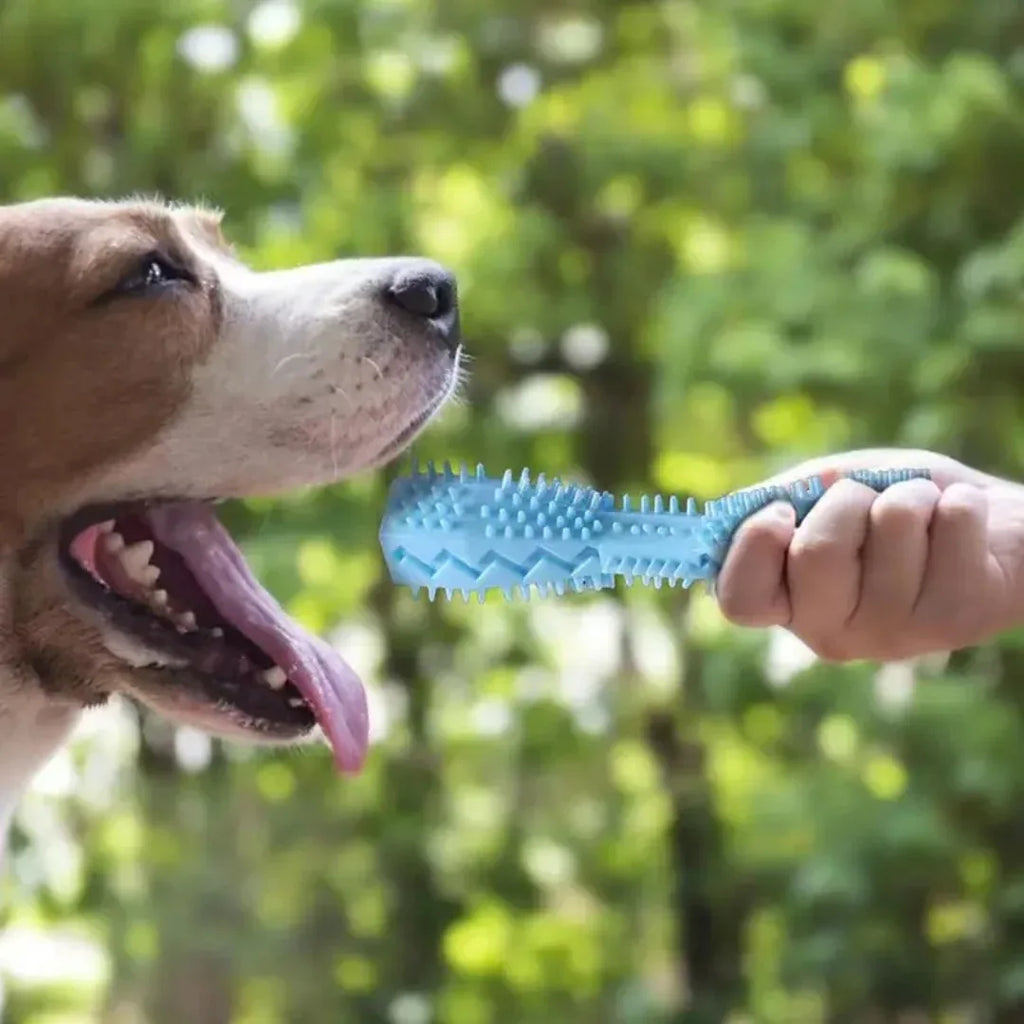Honden Tanden Kauwspeeltje Schoonmaak - Ruffy