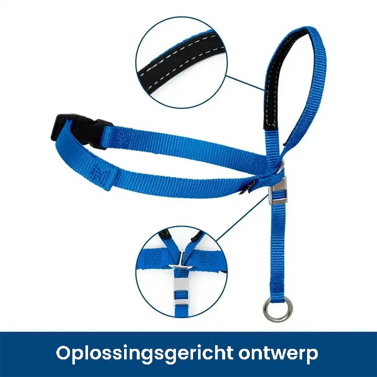 Zachte Trainingshalsband voor Honden Verstelbaar Comfortabel Duurzaam Beschikbaar in Alle Maten - Ruffy