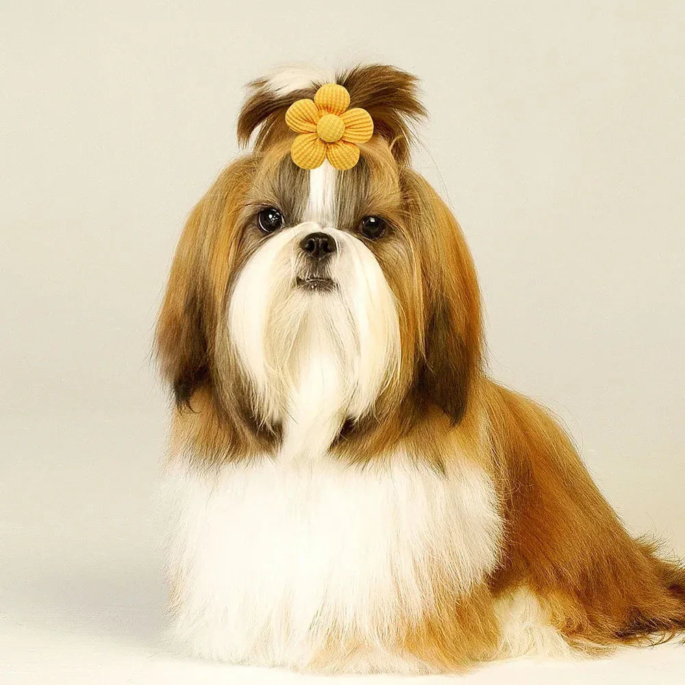 Voorjaarsstrikken Voor Honden en Katten Charmante Bloemenaccessoires Gemakkelijk Te Gebruiken Stijlvol Mix van Kleuren - Ruffy