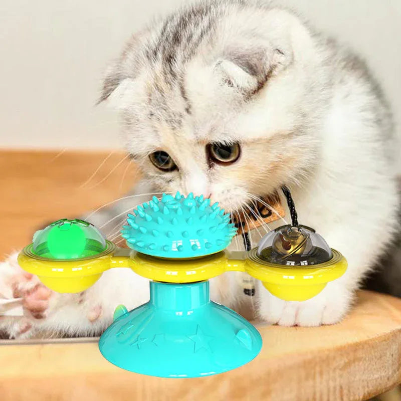 Spinnend En Krabbend Kattenspeeltje - Ruffy