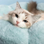 Bloemvormig Kattenkussen Zelfverwarmend Wasbaar en Universeel voor Alle Seizoenen - Ruffy