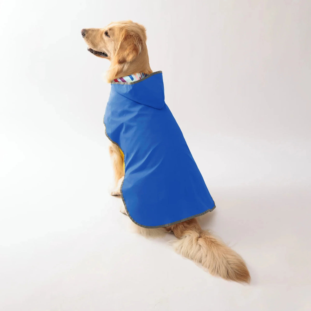 Luxe Orthopedisch Hondenkussen met Traagschuim Wasbare Hoes en Pluche Bekleding - Ruffy