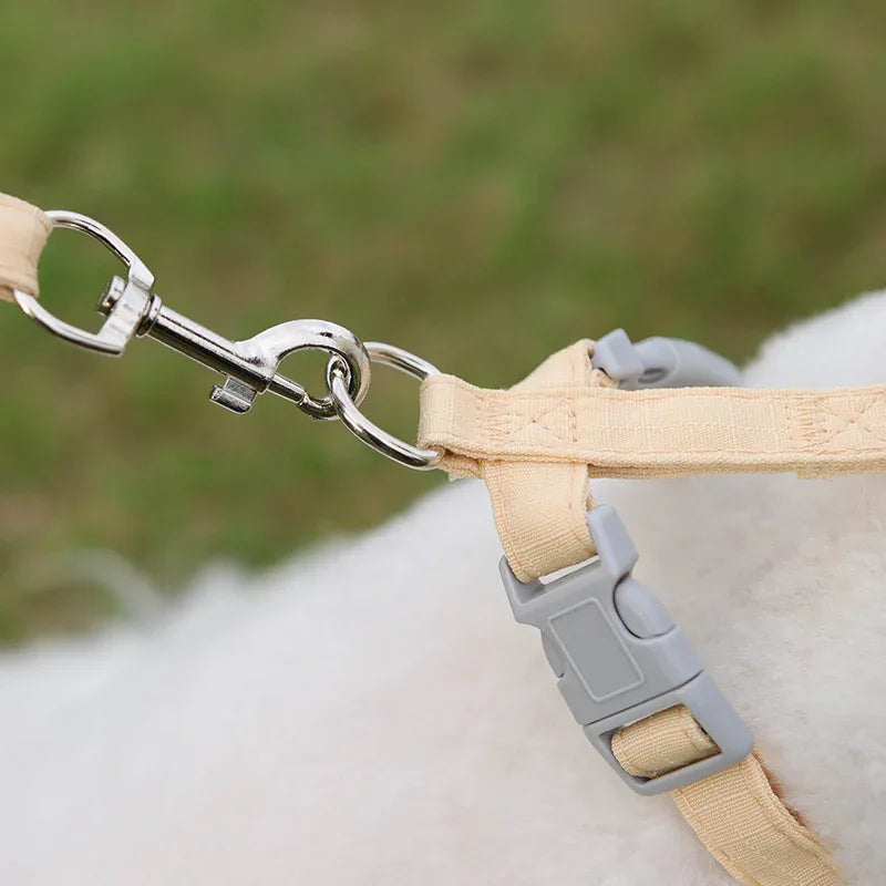 Kleine Honden Tuig Pastel Kleuren - Ruffy