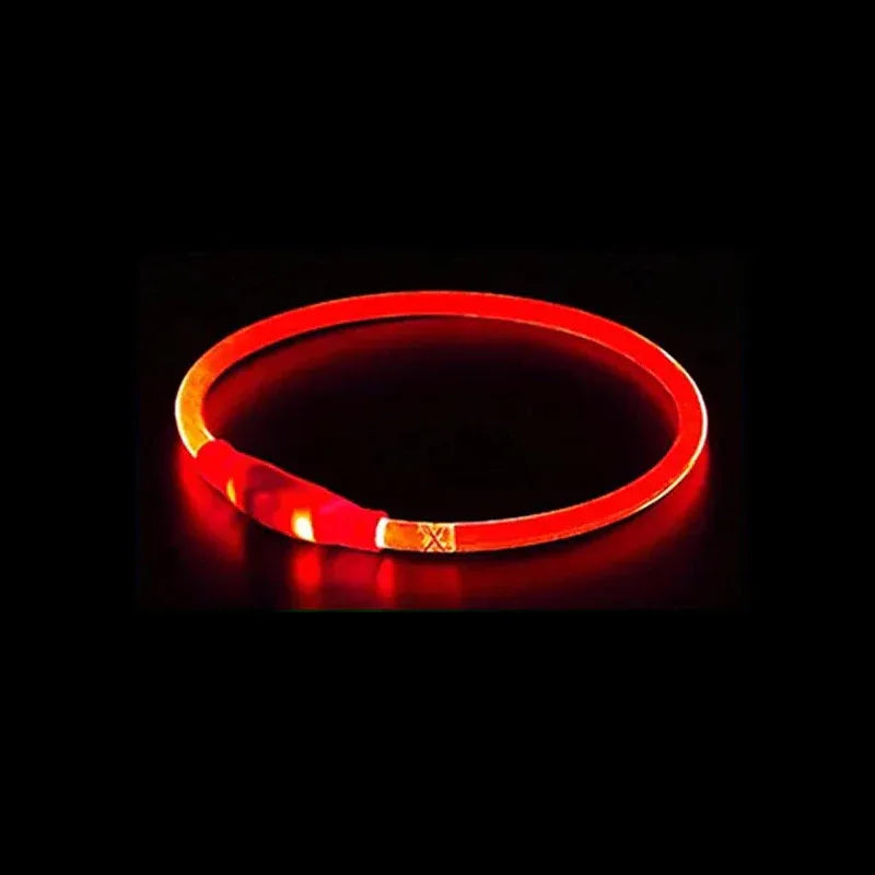 LED reflecterende nylon hondenhalsband - duurzaam, verstelbaar & weerbestendig voor alle seizoenen - Ruffy