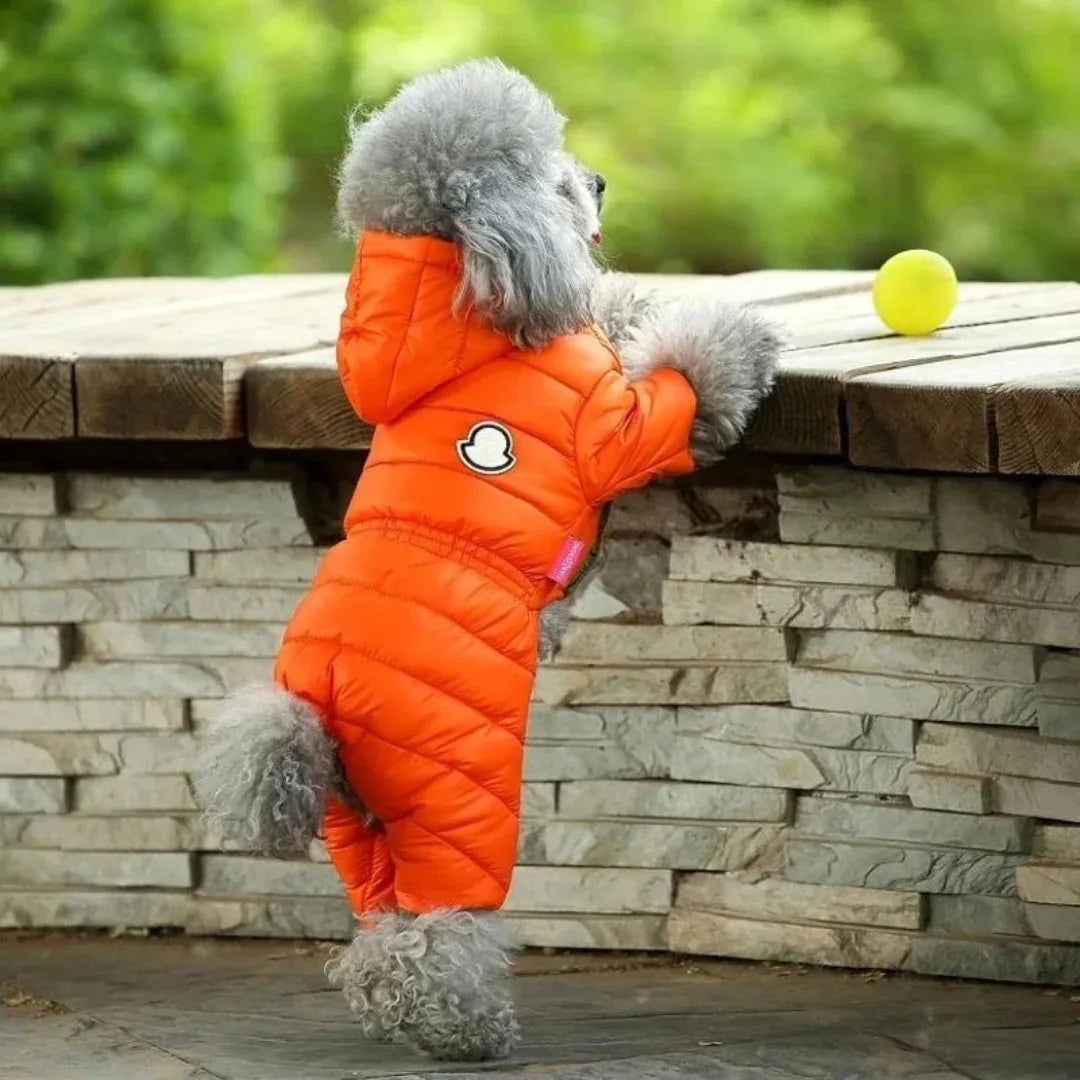 Kleine en Medium Hondenjas Winter Dons Machinewasbaar, Waterdicht - Ruffy