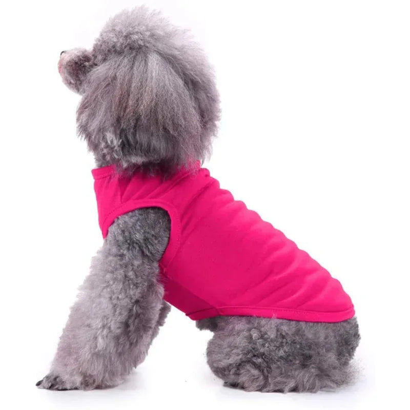Hond Zomer Overhemd - Ruffy