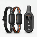 Hondentrainingshalsband met Afstandsbediening, Verstelbare Stimulatieniveaus, 1000 m Bereik - Ruffy