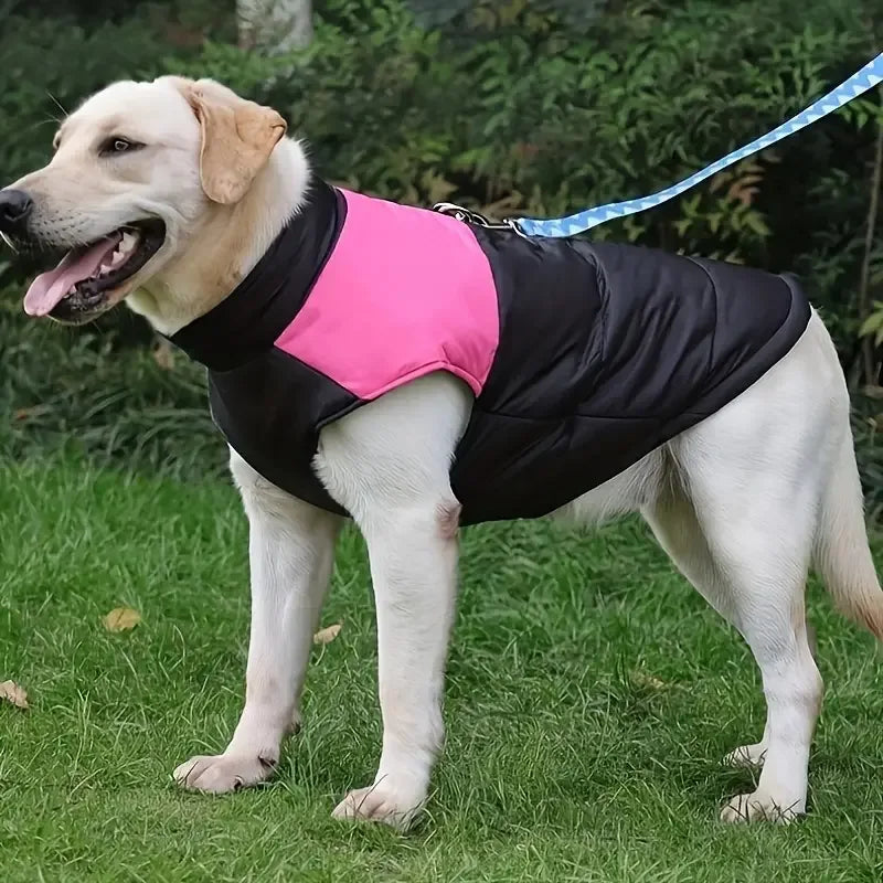 Hondenjas Warm Gewatteerd Waterdicht - Ruffy