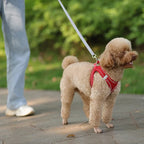 Reflecterend Harnas voor Kleine Honden Verstelbaar Ademend en Zacht Nylon Ontwerp - Ruffy