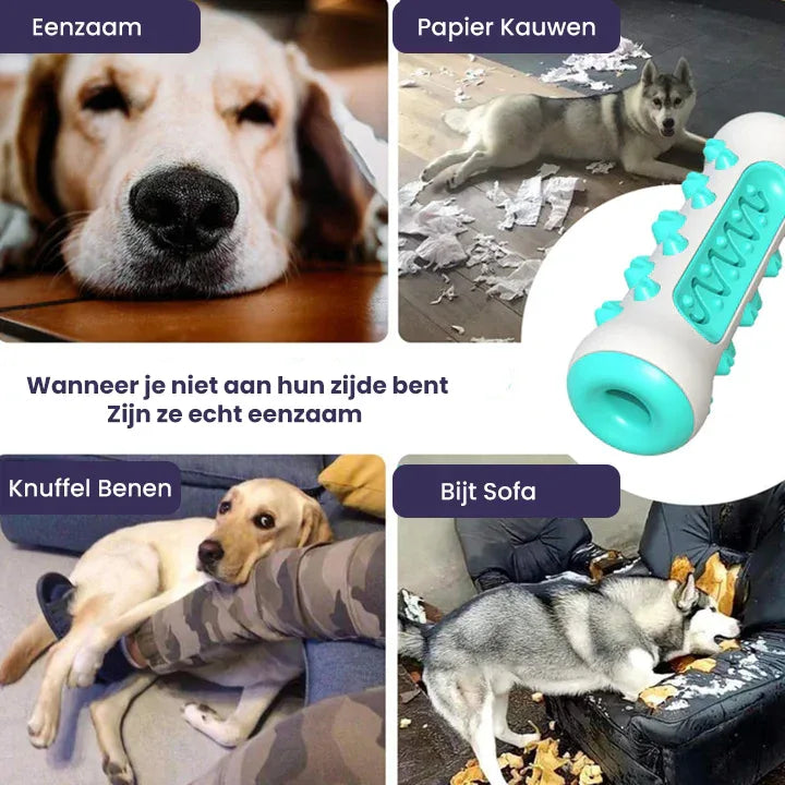 Kauwspeelgoed Hond Veilig Gebitsreinigingsspeeltje - Ruffy