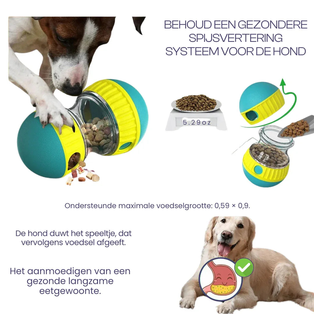 Interactief Achtervolgingsspeeltje voor Honden Halterontwerp Mentale Stimulatie en Beweging - Ruffy