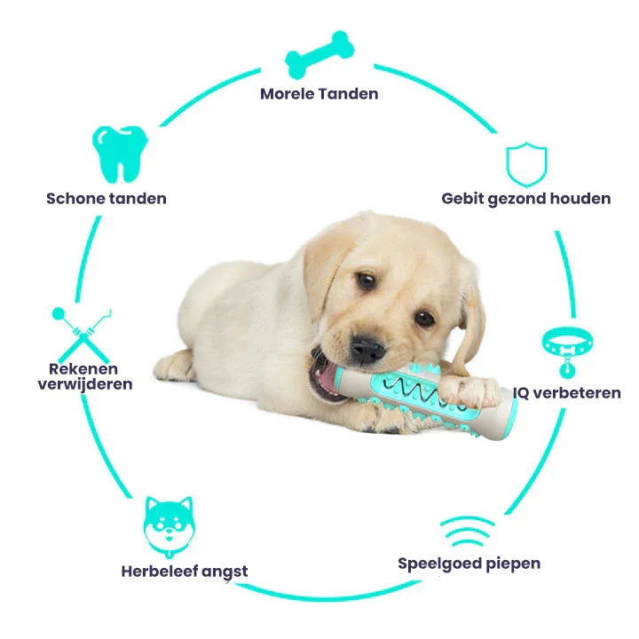 Kauwspeelgoed Hond Veilig Gebitsreinigingsspeeltje - Ruffy