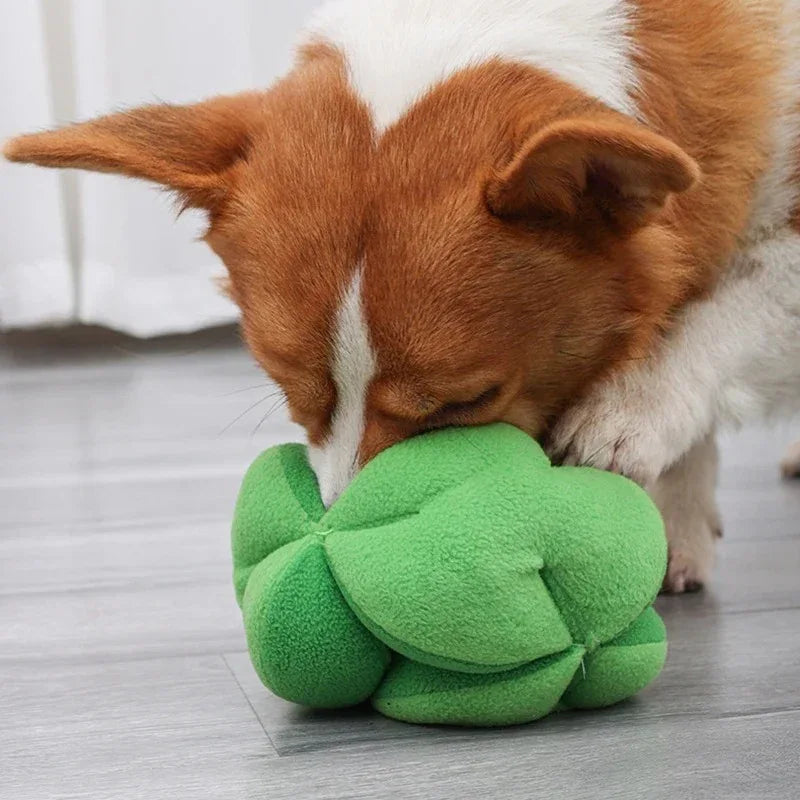 Snuffelende Broccoli Interactieve Traktatie Speelgoed - Ruffy