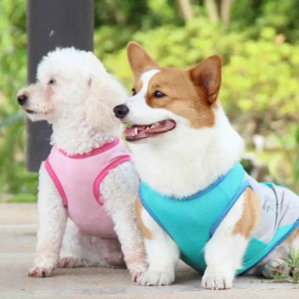 Ademend Koelvest voor Honden Reflecterend Lichtgewicht Sneldrogend Beschikbaar in M tot 11XL - Ruffy