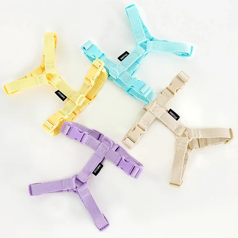 Lichte Kleur Hondentuig Leiband Set Voor Kleine Honden - Ruffy
