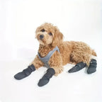 Wondherstellaars Voor Honden Softshell Waterdicht Ademend Comfortabel Herstelbevorderend Polyester - Ruffy
