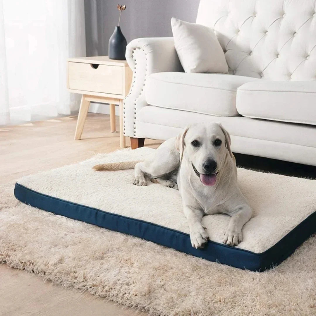 Luxe Traagschuim Hondenbed Pluche Comfort Orthopedisch Afneembare Wasbare Hoes Antislipbasis - Ruffy