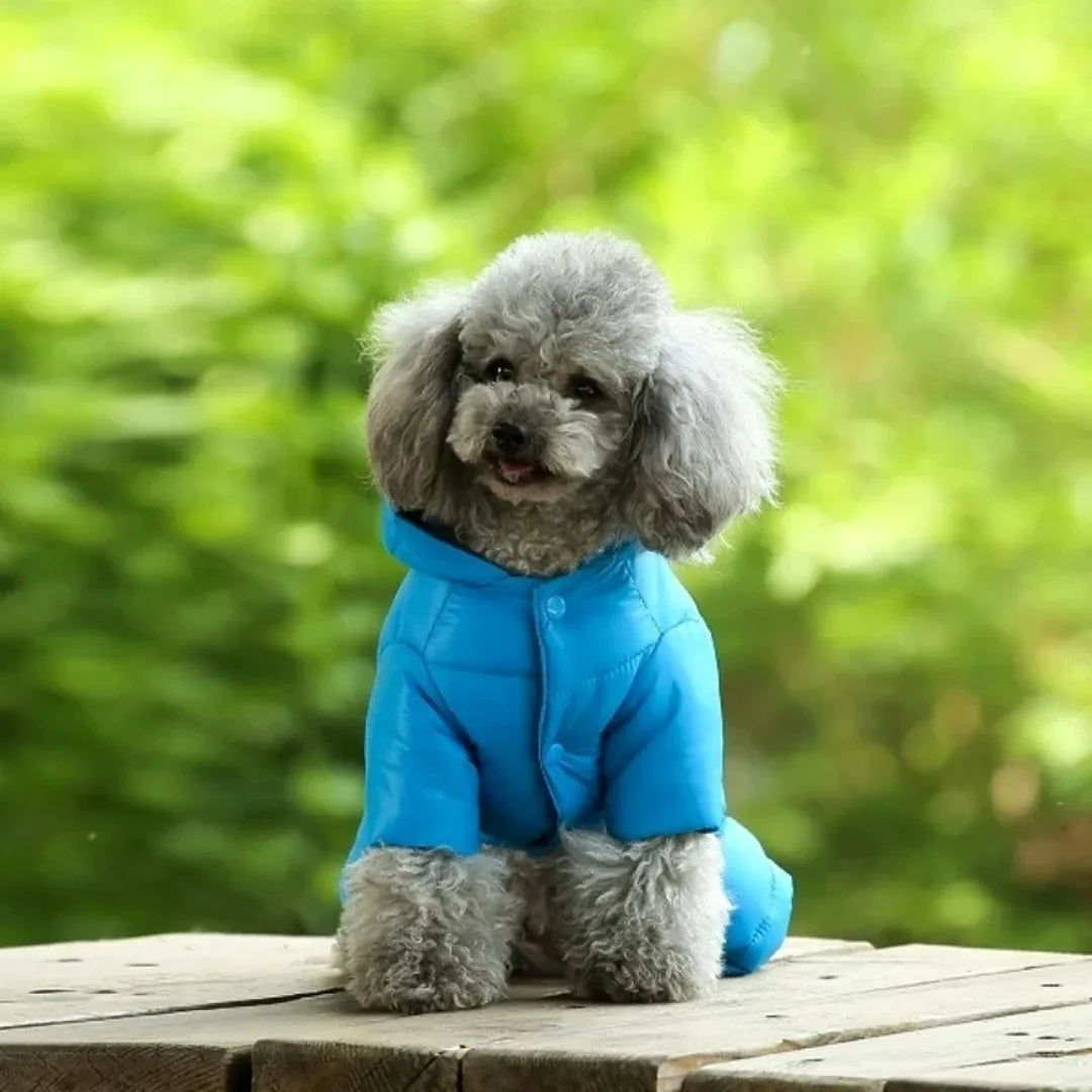 Kleine en Medium Hondenjas Winter Dons Machinewasbaar, Waterdicht - Ruffy
