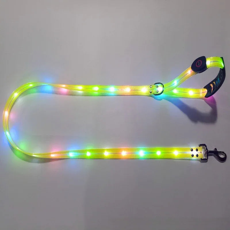 LED-Up Leash Verlichte Hondenriem USB Oplaadbaar Veilig Zichtbaar Duurzaam PVC Ergonomisch Handvat - Ruffy