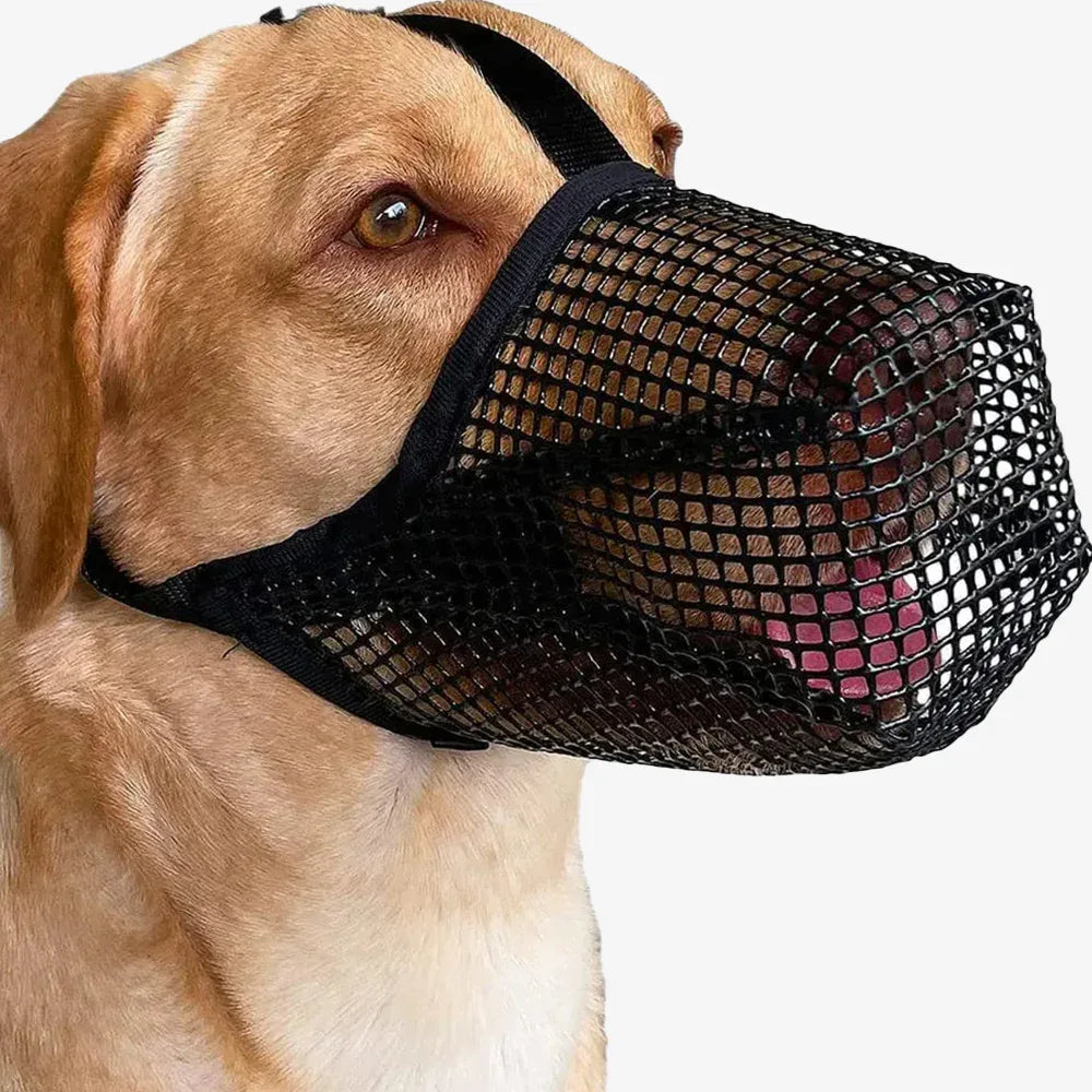 Hondenmuilkorf | Verstelbaar Ademend Mesh | Training & Dierenarts Gebruik | Alle Maten - Ruffy