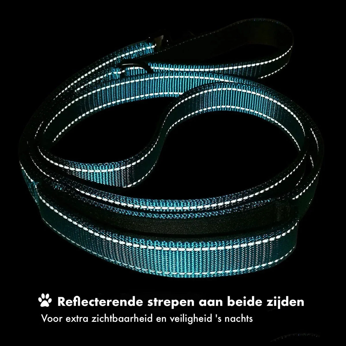 Hondenriem Lange Gevoerd Reflecterend - Ruffy