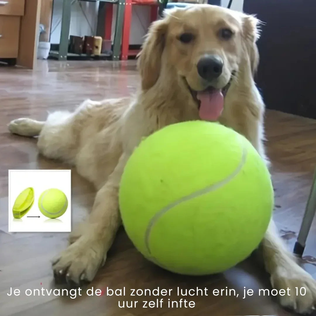 Honden Groot Interactief Tennisbal Speelgoed - Ruffy