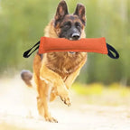 Duurzaam Honden Kauwspeelgoed Met Bijtstok - Ruffy