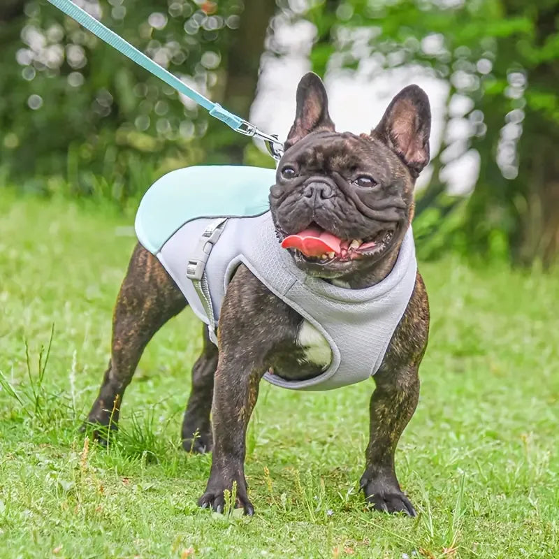 Koelvest voor Honden Met UV-Bescherming Lichtgewicht en Verstelbare Pasvorm - Ruffy