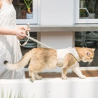 Reflecterend verstelbaar kattentuig met snelsluiting – zacht en ademend canvas - Ruffy