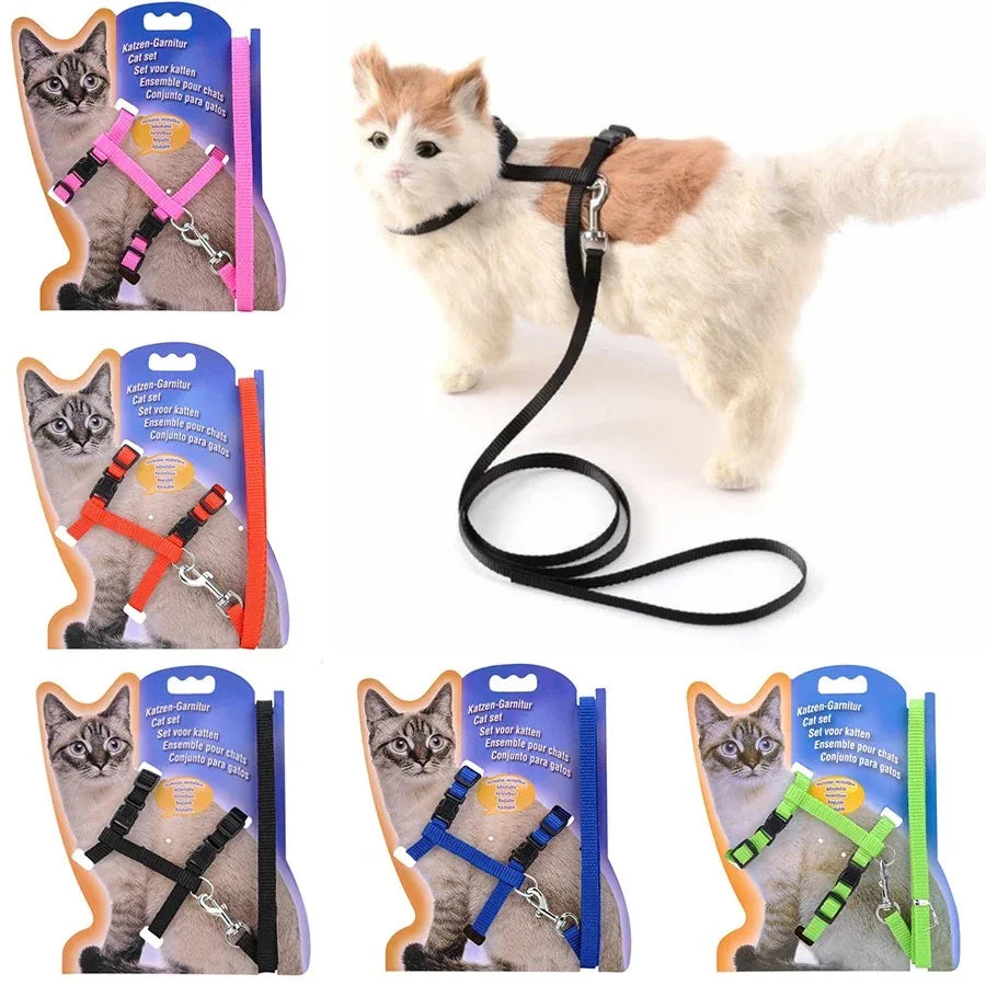 Duurzaam verstelbaar nylon kattentuig met bijpassende riem – veiligheid en comfort voor actieve katten - Ruffy