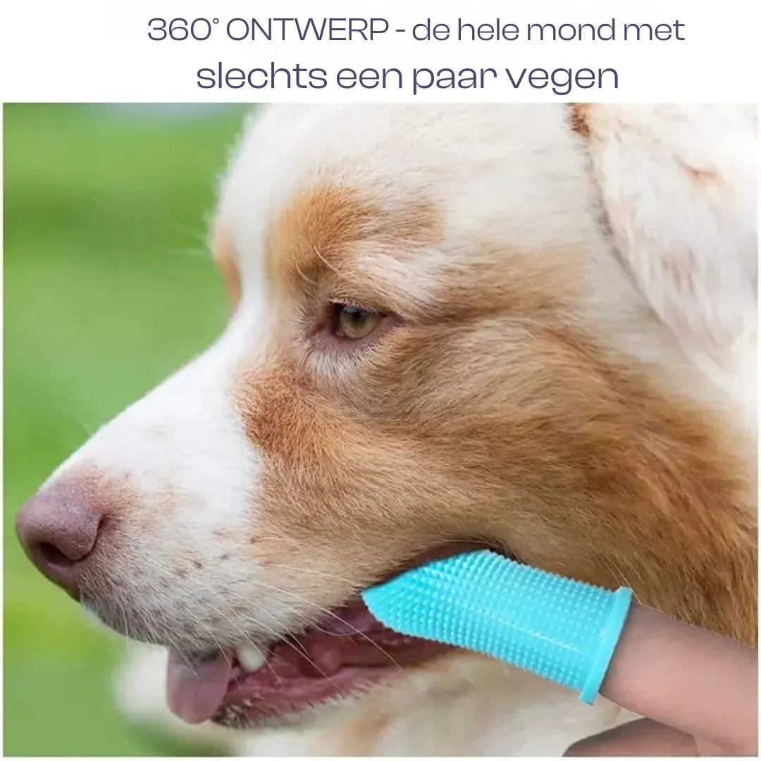 Siliconen tandenborstel voor huisdieren (2+1 GRATIS) - Ruffy