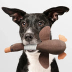 Honden Kauwspeelgoed | Duurzaam Gans Ontwerp | Tandverzorging | 1+1 Set - Ruffy