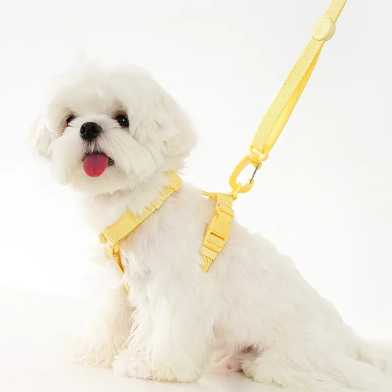 Lichte Kleur Hondentuig Leiband Set Voor Kleine Honden - Ruffy