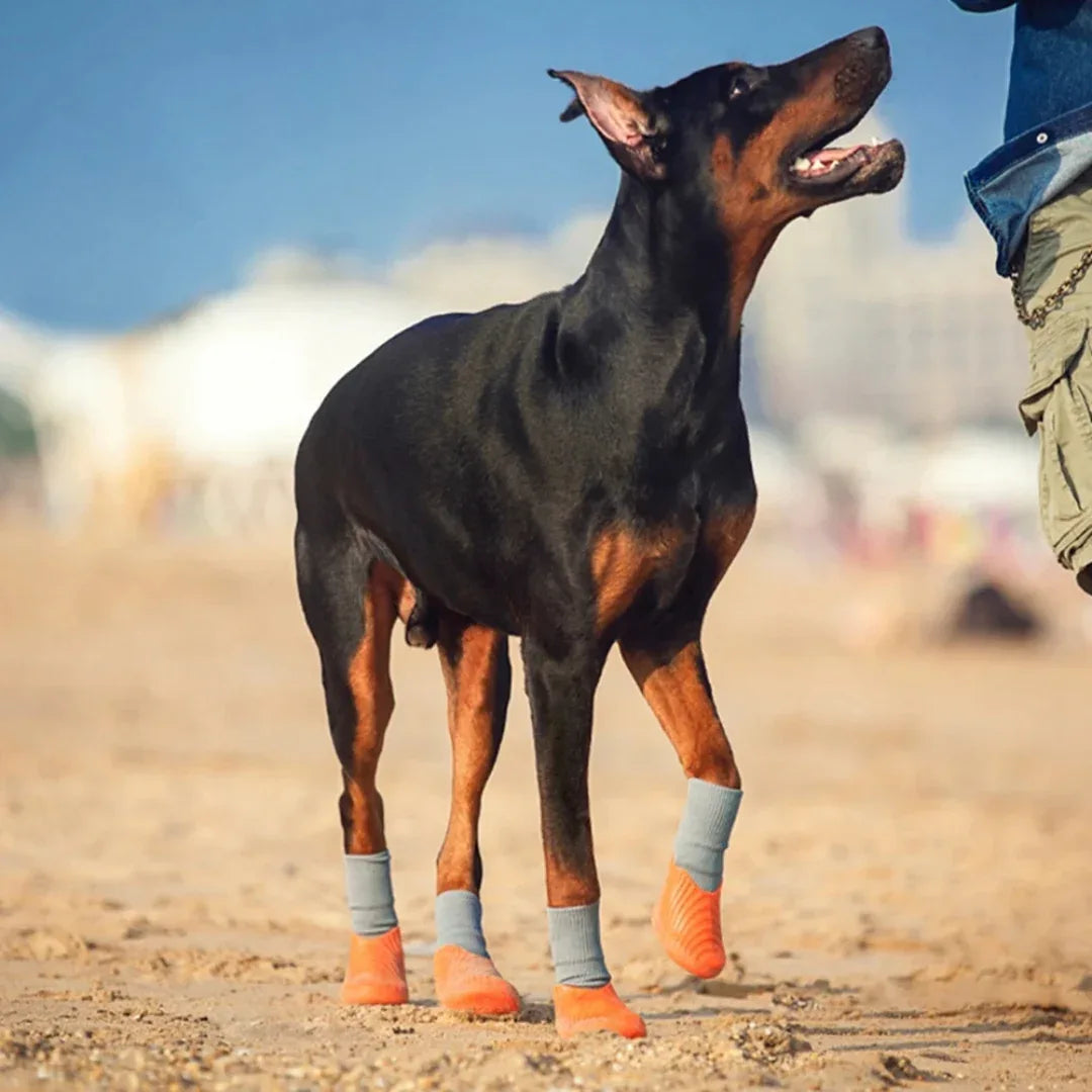 Wandelen Paw Protectie Schoenen - Ruffy